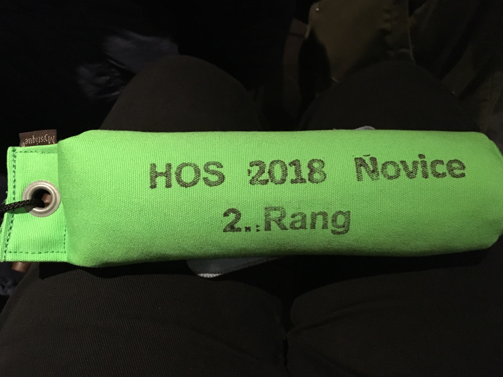 Prüfung Nachzucht