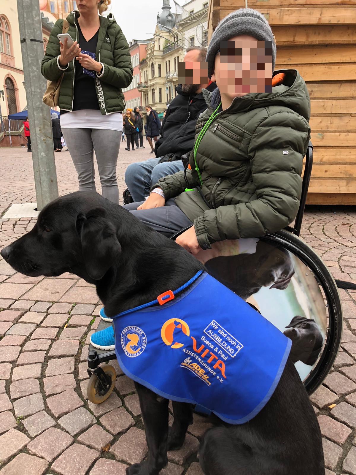 Prüfungen Nachzucht