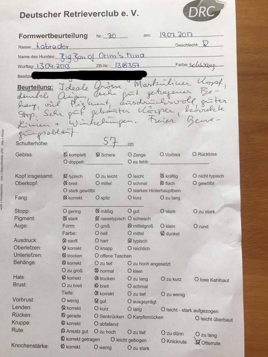 Formwert Nachzucht